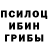 Галлюциногенные грибы MAGIC MUSHROOMS Centurion _ru