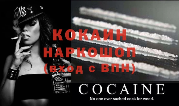 индика Белокуриха