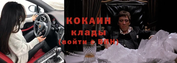 индика Белокуриха