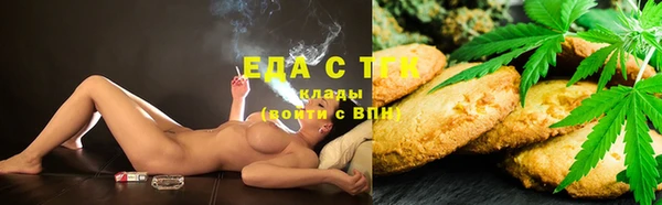 индика Белокуриха