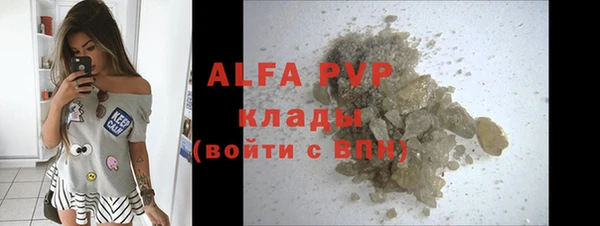 индика Белокуриха