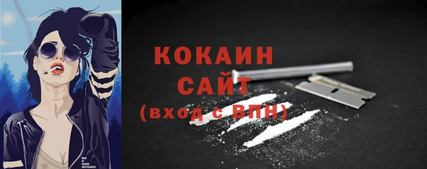 индика Белокуриха