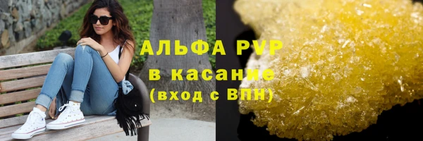 индика Белокуриха