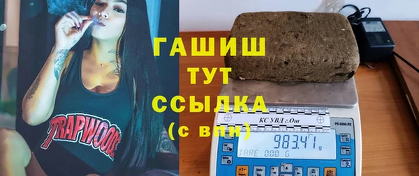 индика Белокуриха