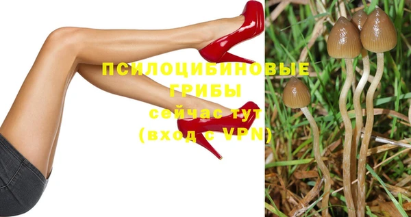 индика Белокуриха