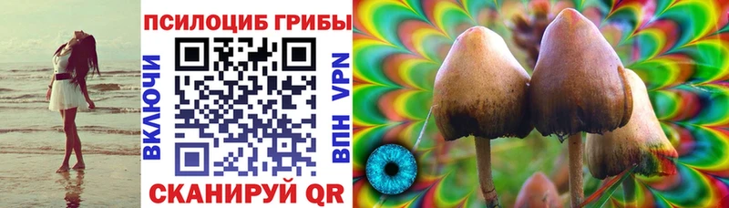как найти закладки  Велиж  Галлюциногенные грибы ЛСД 